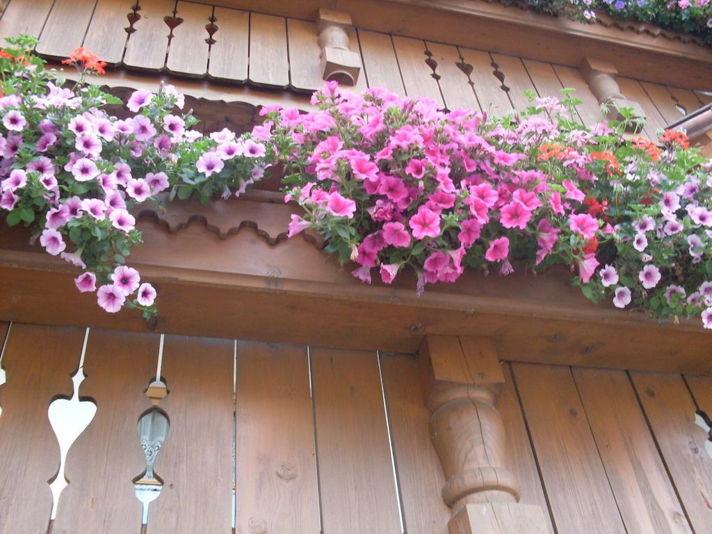 Landhaus Granat ไมย์อาโฮเฟิน ภายนอก รูปภาพ